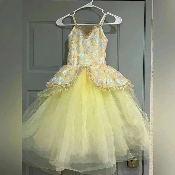 Other - tutu ballet dress size Lc